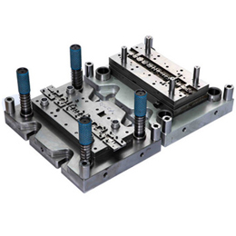 cold blanking die with tungsten steel-TR06003
